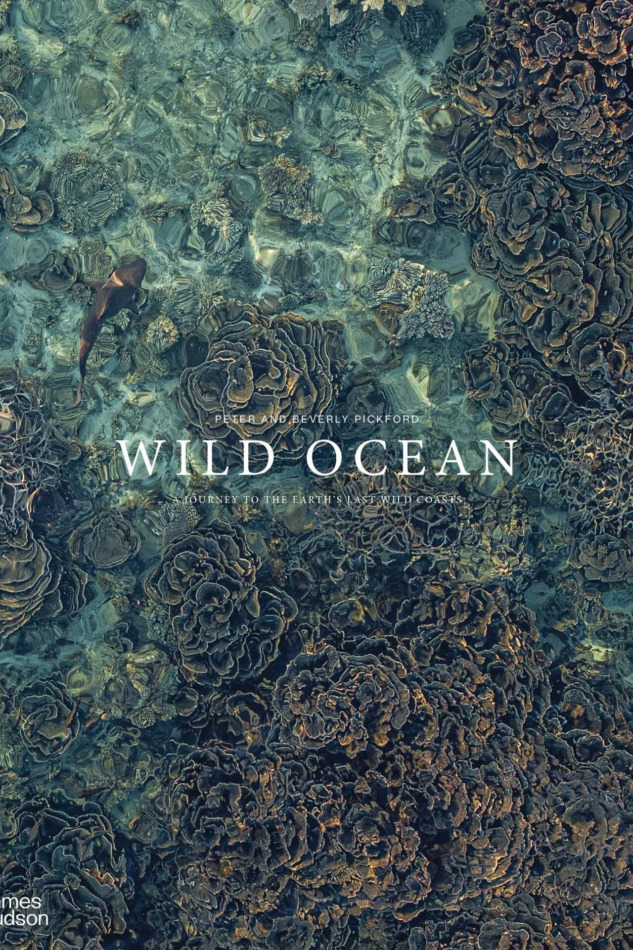Wild Ocean