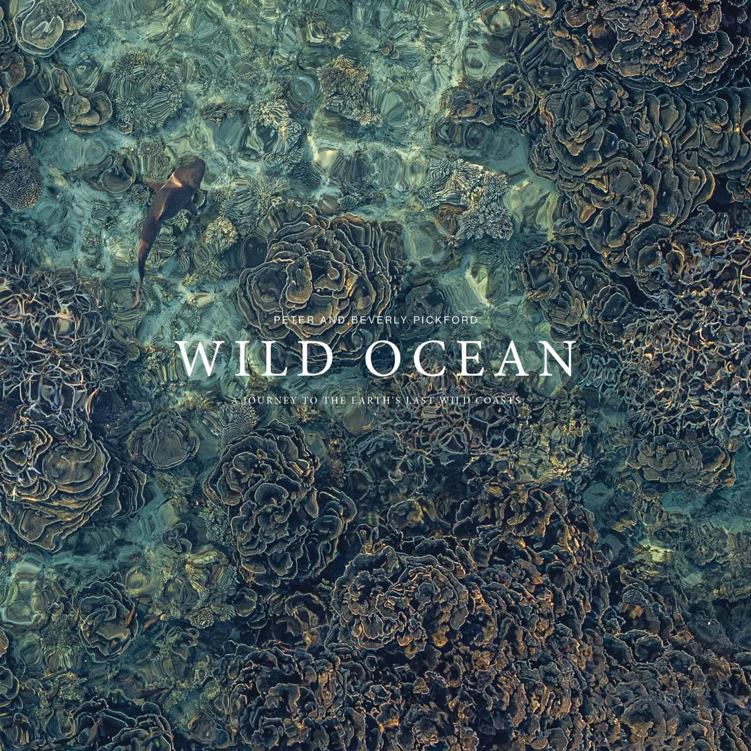 Wild Ocean